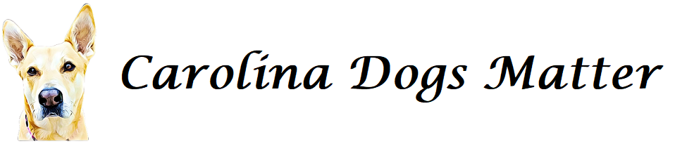 Constra